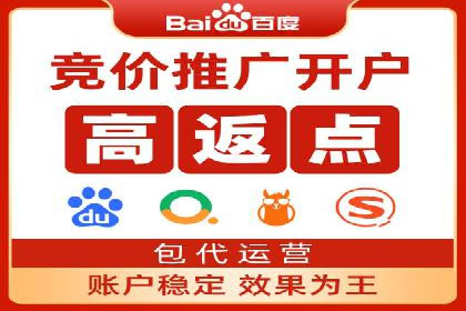 百度网络推广实战技巧：案例解析，让广告投放更精准